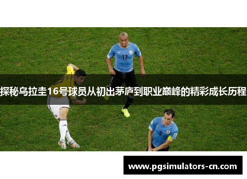 探秘乌拉圭16号球员从初出茅庐到职业巅峰的精彩成长历程