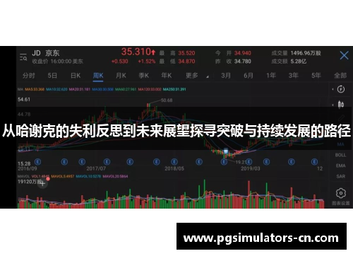 从哈谢克的失利反思到未来展望探寻突破与持续发展的路径