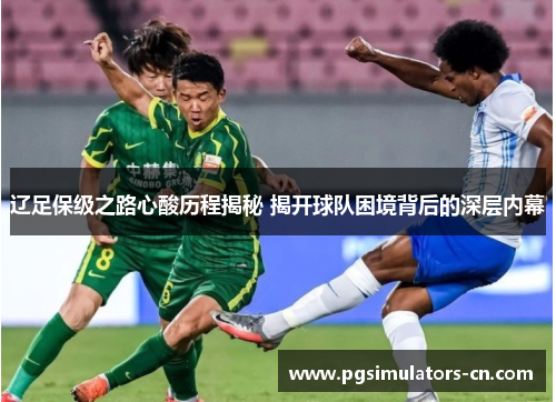 辽足保级之路心酸历程揭秘 揭开球队困境背后的深层内幕