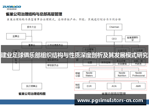 建业足球俱乐部组织结构与性质深度剖析及其发展模式研究 建业足球俱乐部组织结构与性质深度剖析及其发展模式研究