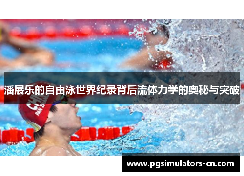 潘展乐的自由泳世界纪录背后流体力学的奥秘与突破