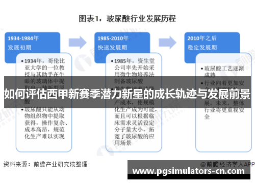 如何评估西甲新赛季潜力新星的成长轨迹与发展前景